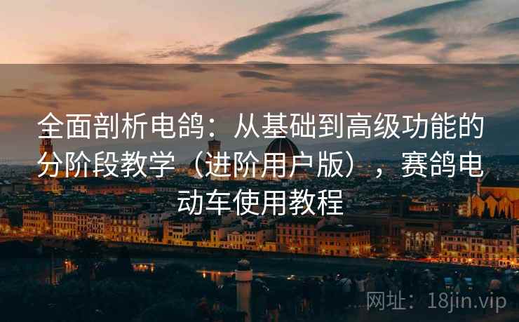 全面剖析电鸽：从基础到高级功能的分阶段教学（进阶用户版），赛鸽电动车使用教程