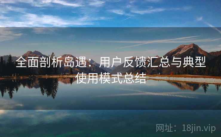 全面剖析岛遇：用户反馈汇总与典型使用模式总结