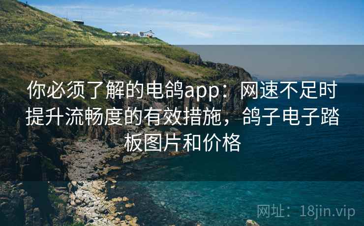 你必须了解的电鸽app：网速不足时提升流畅度的有效措施，鸽子电子踏板图片和价格