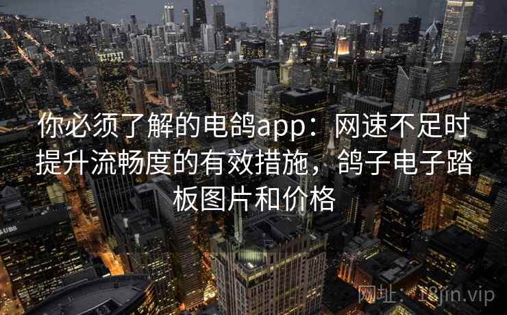 你必须了解的电鸽app:网速不足时提升流畅度的有效措施,鸽子电子踏板图片和价格 你必须了解的电鸽app:网速不足时提升流畅度的有效措施,鸽子电子踏板图片和价格