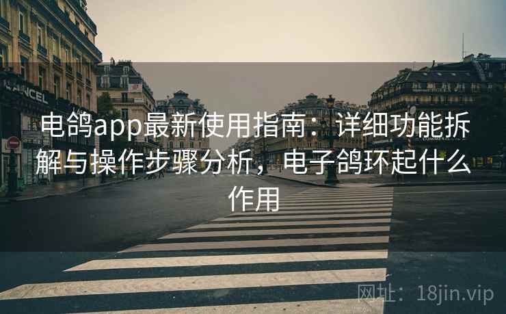 电鸽app最新使用指南：详细功能拆解与操作步骤分析，电子鸽环起什么作用