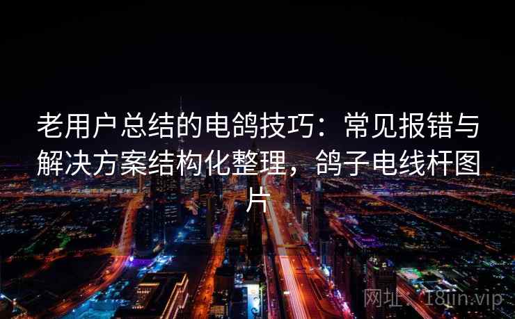 老用户总结的电鸽技巧：常见报错与解决方案结构化整理，鸽子电线杆图片