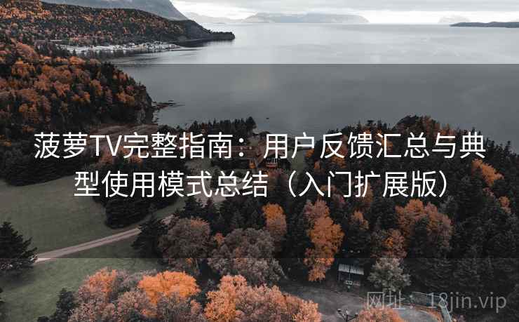 菠萝TV完整指南：用户反馈汇总与典型使用模式总结（入门扩展版）