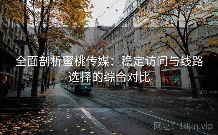 全面剖析蜜桃传媒：稳定访问与线路选择的综合对比