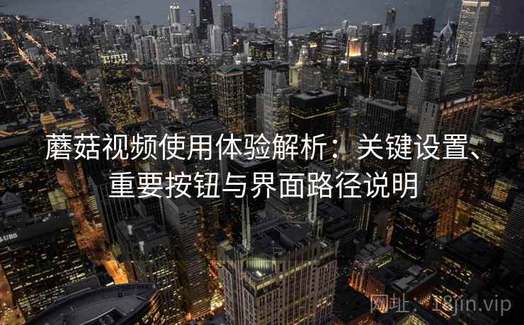 蘑菇视频使用体验解析：关键设置、重要按钮与界面路径说明