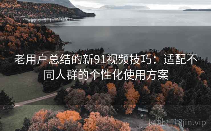 老用户总结的新91视频技巧：适配不同人群的个性化使用方案