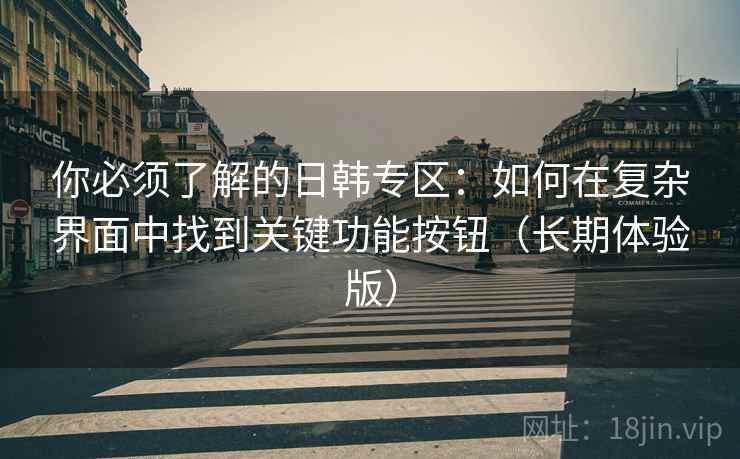 你必须了解的日韩专区:如何在复杂界面中找到关键功能按钮(长期体验版) 你必须了解的日韩专区:如何在复杂界面中找到关键功能按钮(长期体验版)