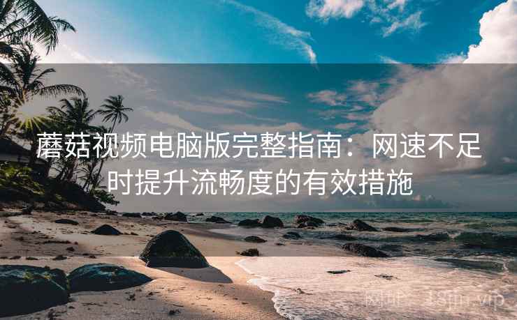 蘑菇视频电脑版完整指南：网速不足时提升流畅度的有效措施