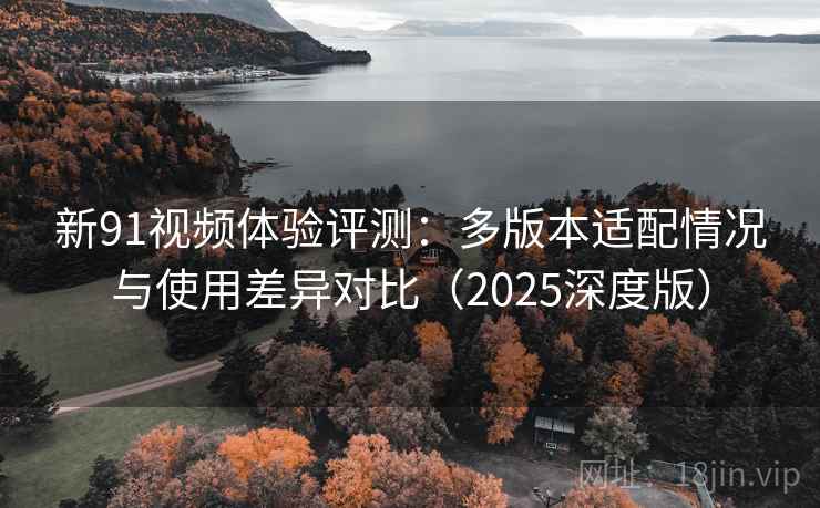 新91视频体验评测：多版本适配情况与使用差异对比（2025深度版）