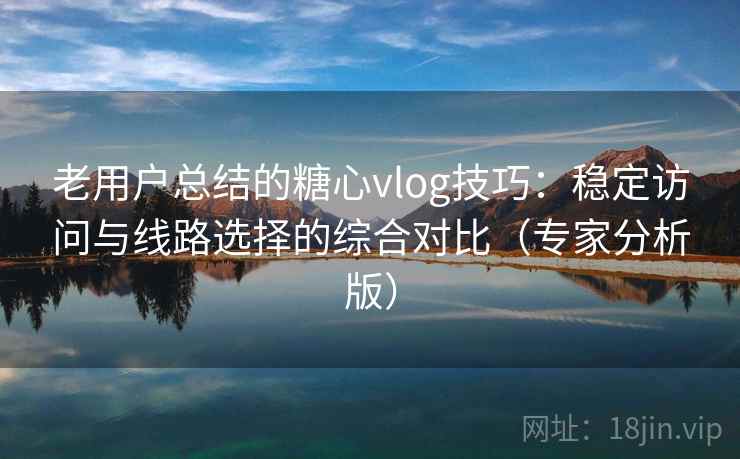 老用户总结的糖心vlog技巧：稳定访问与线路选择的综合对比（专家分析版）