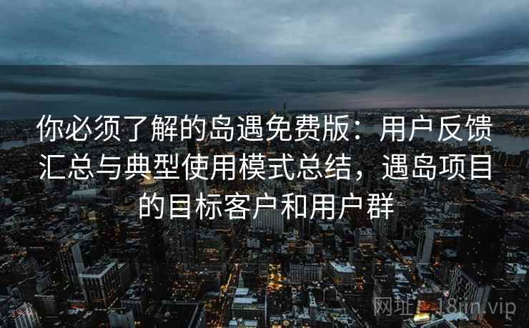 你必须了解的岛遇免费版：用户反馈汇总与典型使用模式总结，遇岛项目的目标客户和用户群