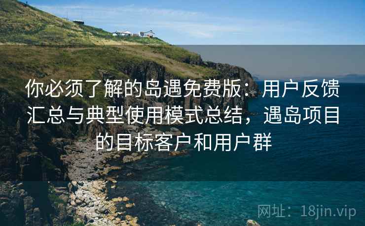 你必须了解的岛遇免费版：用户反馈汇总与典型使用模式总结，遇岛项目的目标客户和用户群