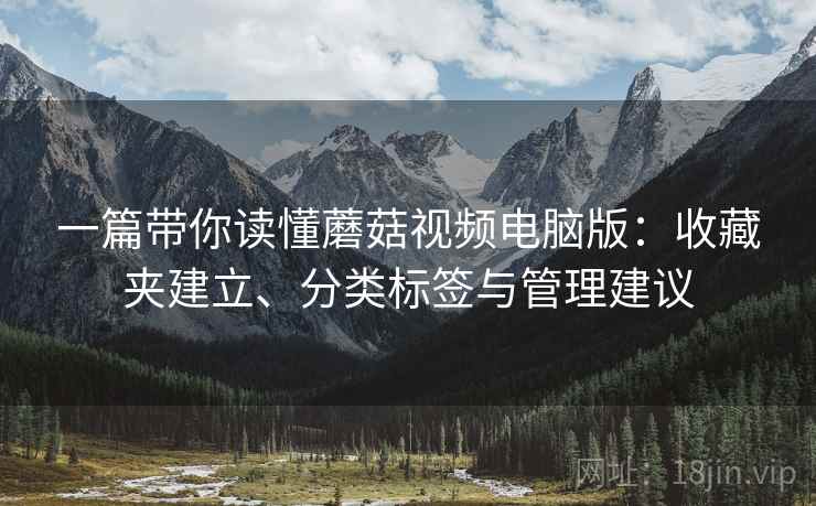 一篇带你读懂蘑菇视频电脑版：收藏夹建立、分类标签与管理建议