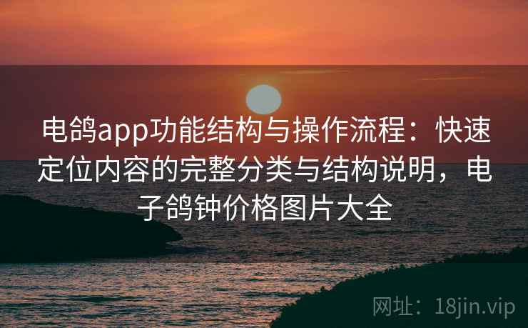 电鸽app功能结构与操作流程：快速定位内容的完整分类与结构说明，电子鸽钟价格图片大全