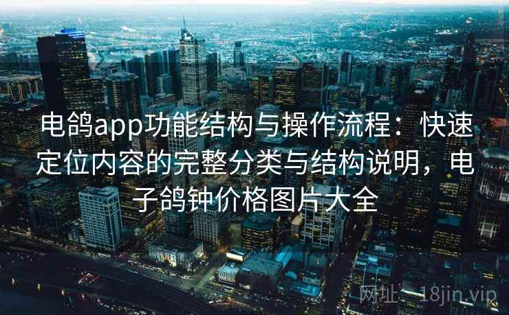 电鸽app功能结构与操作流程：快速定位内容的完整分类与结构说明，电子鸽钟价格图片大全