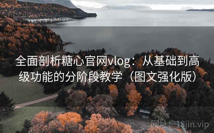 全面剖析糖心官网vlog：从基础到高级功能的分阶段教学（图文强化版）