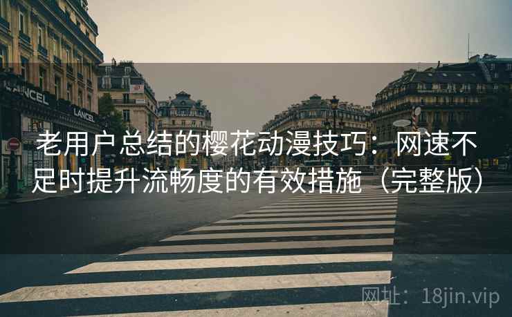 老用户总结的樱花动漫技巧：网速不足时提升流畅度的有效措施（完整版）