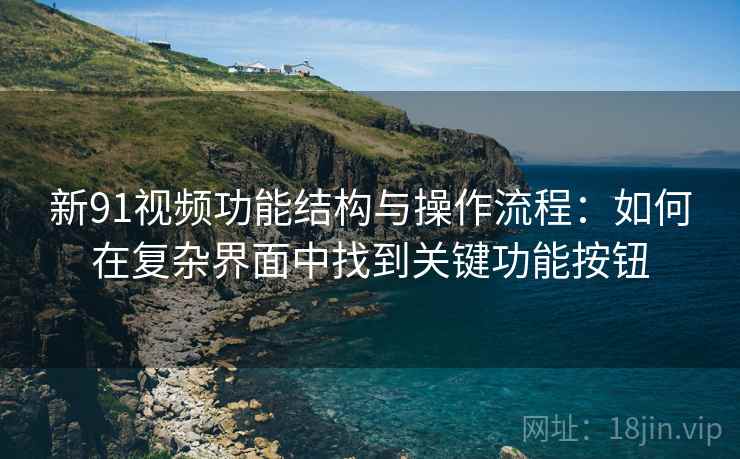 新91视频功能结构与操作流程：如何在复杂界面中找到关键功能按钮