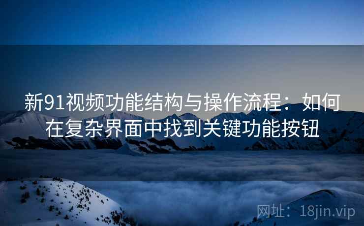 新91视频功能结构与操作流程：如何在复杂界面中找到关键功能按钮
