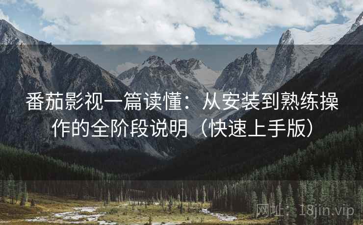番茄影视一篇读懂：从安装到熟练操作的全阶段说明（快速上手版）