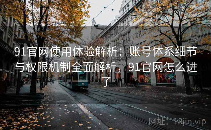 91官网使用体验解析：账号体系细节与权限机制全面解析，91官网怎么进了