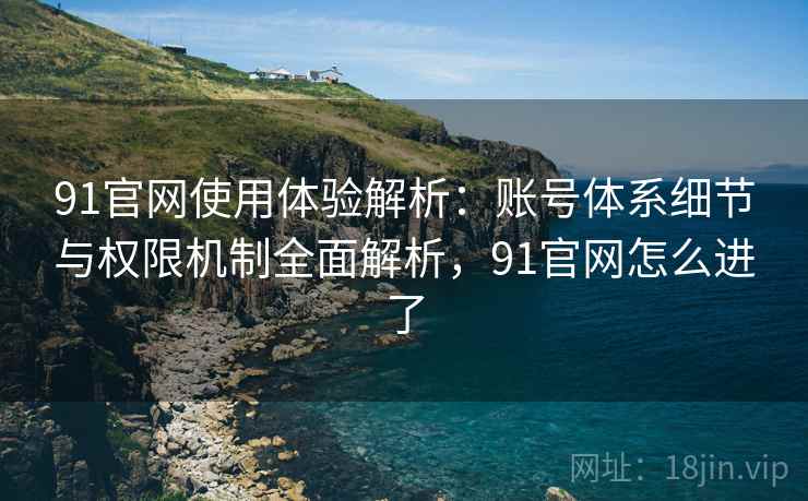 91官网使用体验解析：账号体系细节与权限机制全面解析，91官网怎么进了
