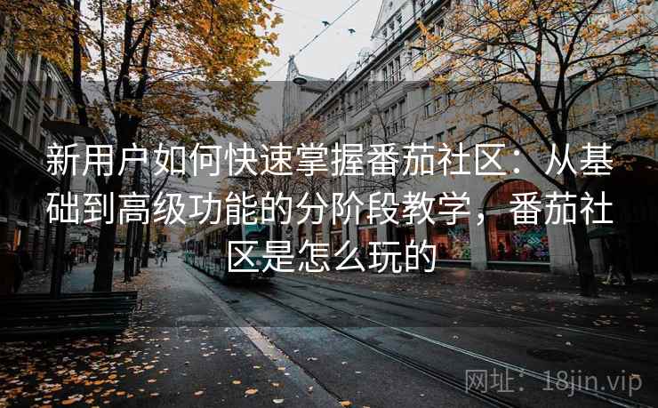 新用户如何快速掌握番茄社区：从基础到高级功能的分阶段教学，番茄社区是怎么玩的