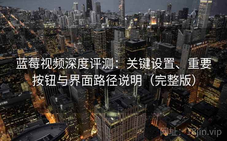 蓝莓视频深度评测：关键设置、重要按钮与界面路径说明（完整版）