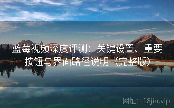 蓝莓视频深度评测：关键设置、重要按钮与界面路径说明（完整版）
