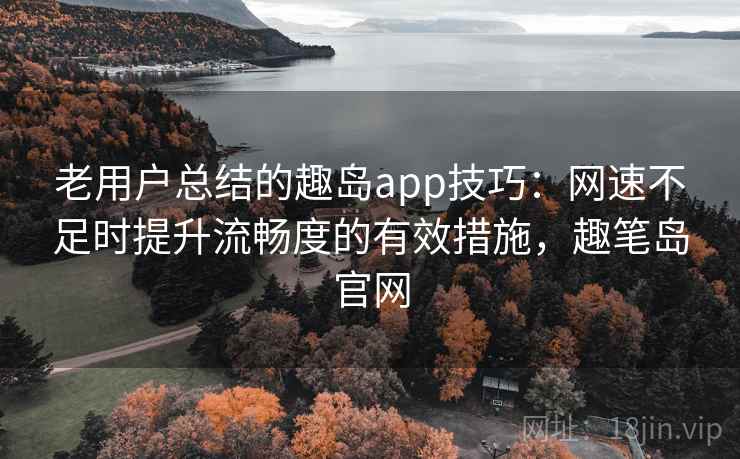 老用户总结的趣岛app技巧：网速不足时提升流畅度的有效措施，趣笔岛官网