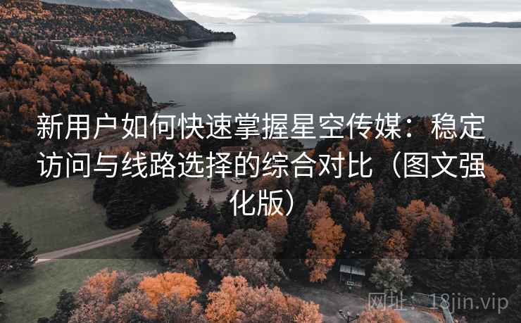 新用户如何快速掌握星空传媒：稳定访问与线路选择的综合对比（图文强化版）