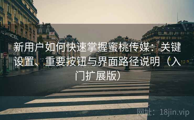 新用户如何快速掌握蜜桃传媒：关键设置、重要按钮与界面路径说明（入门扩展版）