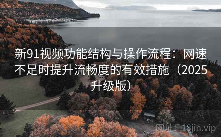 新91视频功能结构与操作流程：网速不足时提升流畅度的有效措施（2025升级版）