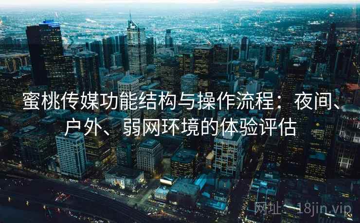 蜜桃传媒功能结构与操作流程：夜间、户外、弱网环境的体验评估