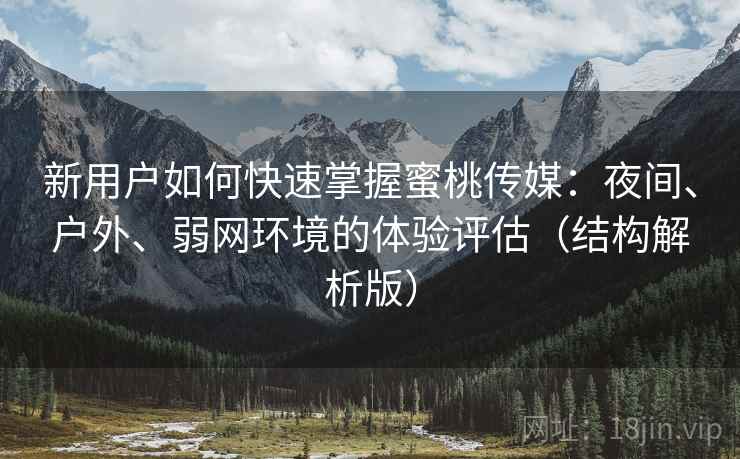 新用户如何快速掌握蜜桃传媒：夜间、户外、弱网环境的体验评估（结构解析版）